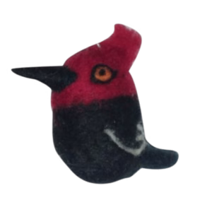 Carpintero rojo