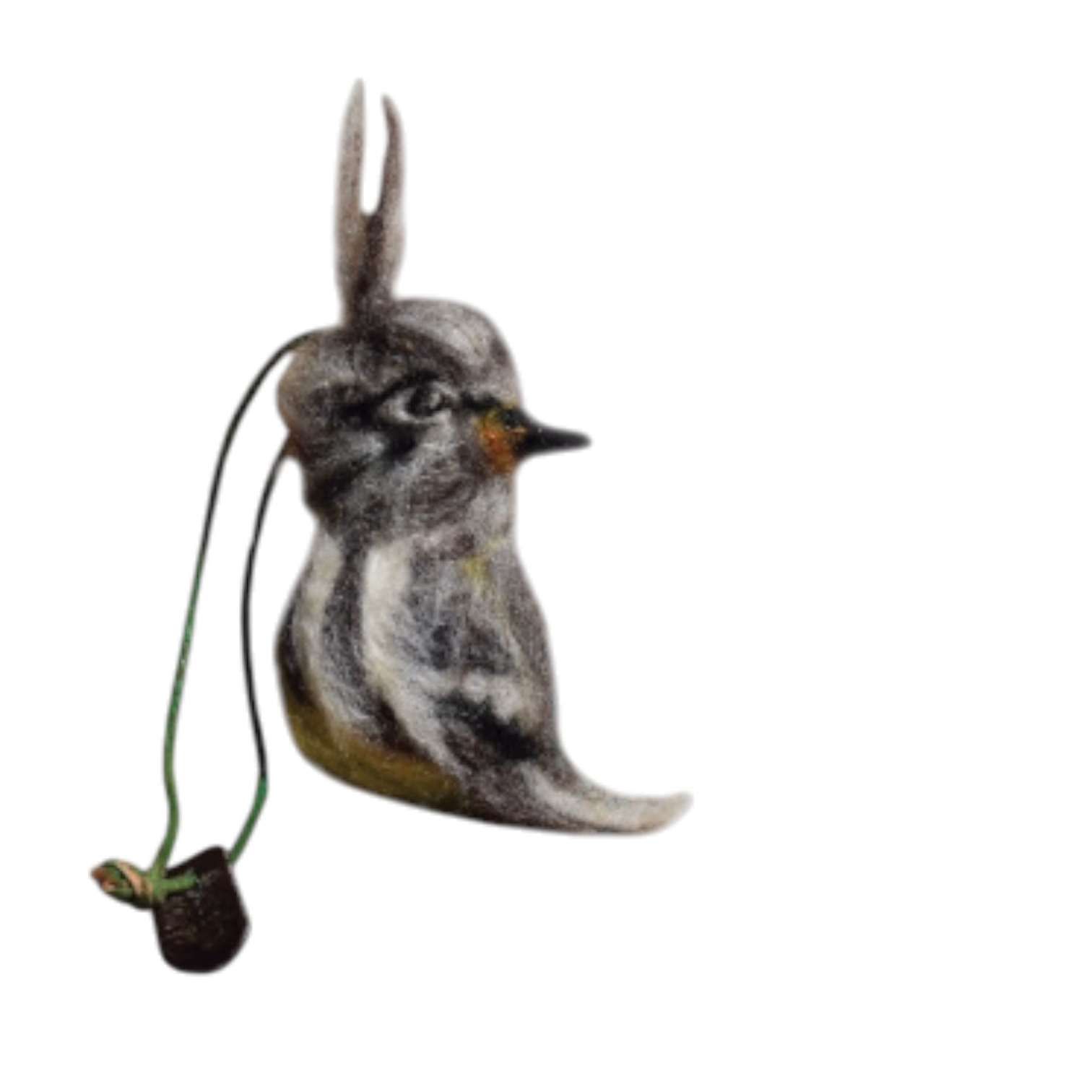 Cachudito