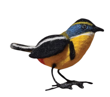 Siete colores